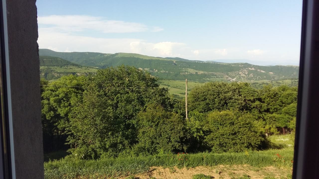 Дома для отпуска Didgori home Didgori