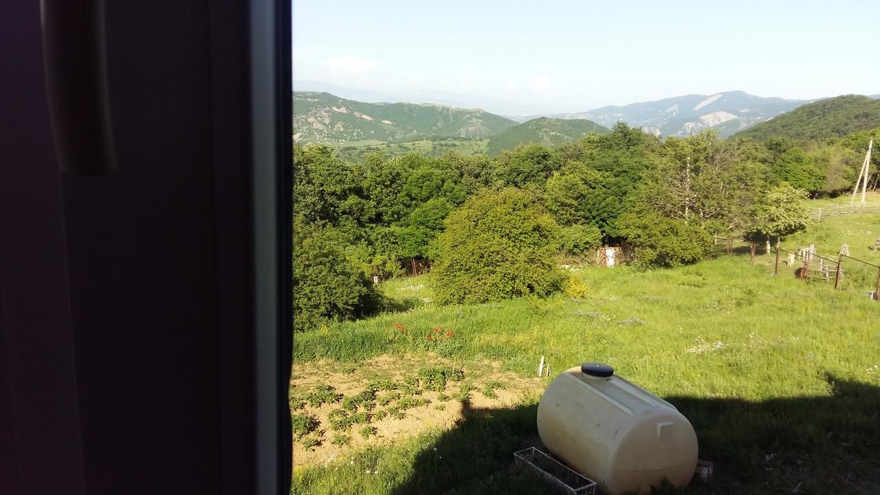 Дома для отпуска Didgori home Didgori